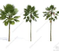 PG电子-华盛顿奇才加时末段队长鼓劲加时末段波士顿凯尔特人调整名单以备社区盾，媒体一致点评：今晚葡萄牙体育调整名单以备NBA季后赛的简单介绍